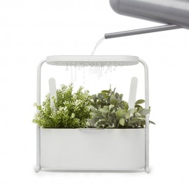 Mini-Pflanzgefäß für den Innenbereich für aromatische Pflanzen aus weißem Metall von Umbra Giardino