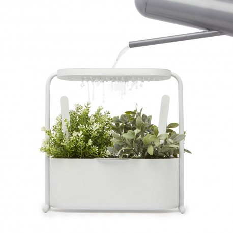 Mini jardinière d'intérieur plantes aromatiques métal blanc Umbra Giardino