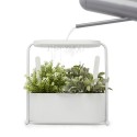 Mini jardiniere d interieur plantes aromatiques metal blanc umbra giardino