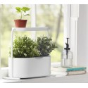 Mini jardiniere d interieur plantes aromatiques metal blanc umbra giardino