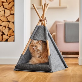 Graues Katzen-Tipi mit Zeller-Kissen