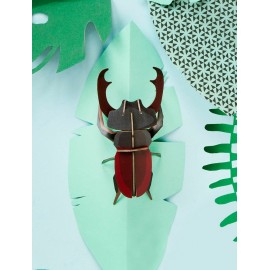 studio roof coleoptere scarabee decoration murale
