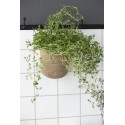 Petit panier de rangement cylindrique en jonc de mer tresse IB Laursen