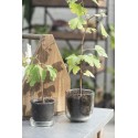 petit cache pot verre epais transparent d 10 cm ib laursen