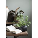 cache pot vintage beton noir ib laursen cesar