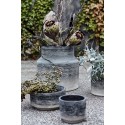 muubs kanji 22 cache pot ciment gris degrade