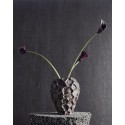 Vase sculptural organique grès Muubs Soil brun