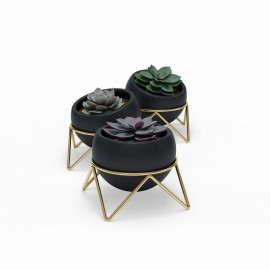 Set aus 3 Designer-Pflanzgefäßen aus Keramik mit schwarzem Umbra Potsy-Ständer