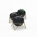 Set de 3 cache-pots design céramique avec support Umbra Potsy noir