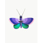 decoration murale papillon bleu cuivre studio roof