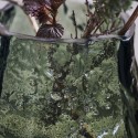 Petit vase verre surface rugueuse rustique House Doctor Moun vert
