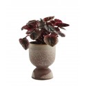 madam stoltz petit cache pot forme de gobelet coquetier gres marron