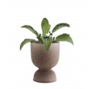 madam stoltz cache pot sur pied design gobelet coquetier gres marron