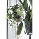 ib laursen pot de fleur verre transparent conique