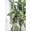 ib laursen pot de fleur verre transparent conique