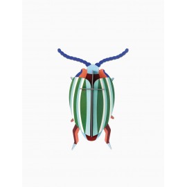 petit scarabee carton deco chrysolina studio roof rainbow leef beetle