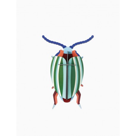 petit scarabee carton deco chrysolina studio roof rainbow leef beetle