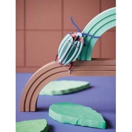 Scarabée carton Studio Roof Rainbow Leef Beetle