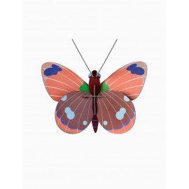 studio roof papillon delias decoration murale carton