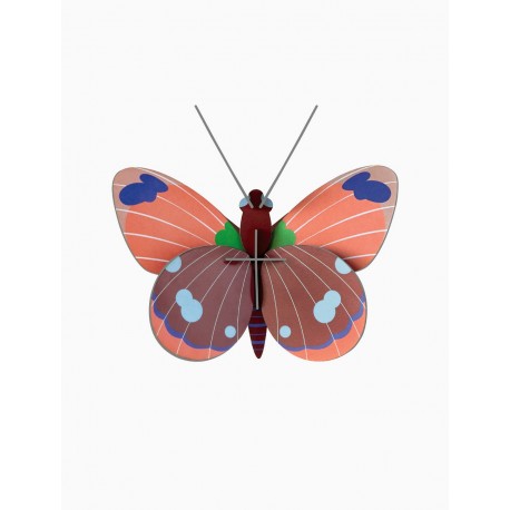 studio roof papillon delias decoration murale carton