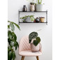 bloomingville north shelf etagere murale noire design bloomingville north shelf etagere murale noire design