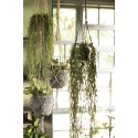 Macramé pour plantes jute naturel IB Laursen