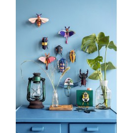 decoration murale coloree en carton insectes coleoptere studio roof