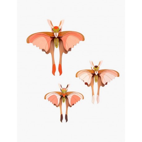 decoration murale studio roof papillon comete de madagascar set de 3