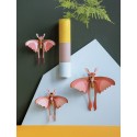 decoration murale studio roof papillon comete de madagascar set de 3