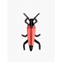 insecte decoration murale longicorne studio roof