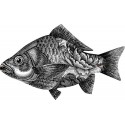 poisson miho the etrepreneur noir et blanc