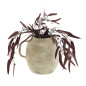 madam stoltz vase pichet terre cuite beige poterie artisanele