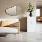 Miroir mural organique Umbra Hubba Pebble Miroir mural organique Umbra Hubba Pebble