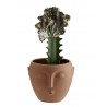 madam stoltz cache pot visage gres terracotta mat