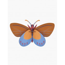 papillon studio roof ochre costa butterfly