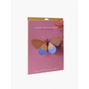 papillon studio roof ochre costa butterfly