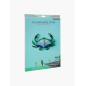 studio roof deco murale carton crabe aquamarine