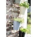 jardiniereindividuelleasuspendrebalconbleuclairpastel iblaursen