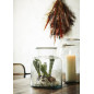 Terrarienvase aus Glas von Madam Stoltz