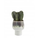 cache pot cactus succulente gres bicolore blanc vert madam stoltz