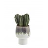 cache pot cactus succulente gres bicolore blanc vert madam stoltz