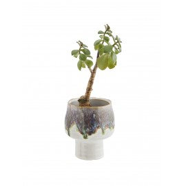 cache pot succulente gres bicolore madam stoltz