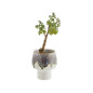 cache pot succulente gres bicolore madam stoltz
