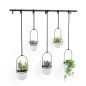 Porte-plantes suspendu Umbra TRIFLORA