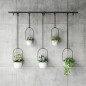 Porte-plantes suspendu Umbra TRIFLORA