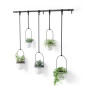 Porte-plantes suspendu Umbra TRIFLORA