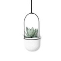 umbra porte plantes triflora suspendu 5 pots blanc noir