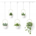 umbra jardiniere design suspendue interieur 5 pots triflora laiton