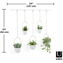 umbra jardiniere design suspendue interieur 5 pots triflora laiton
