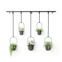 porte plantes mural design suspendu umbra triflora noir